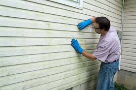 Affordable Siding Repair and Maintenance Services in Valley Forge, TN